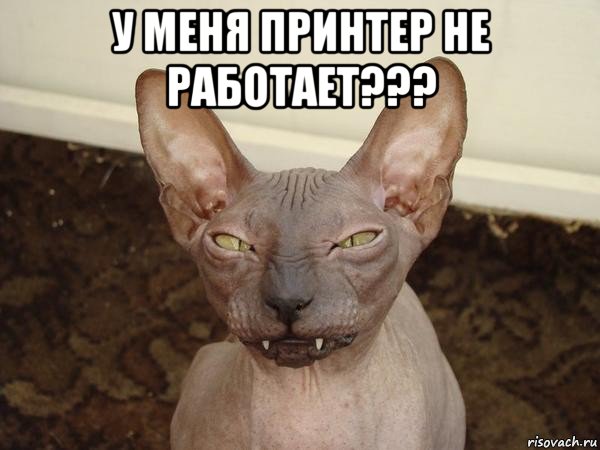 у меня принтер не работает??? , Мем  Злой котик