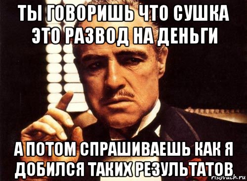 ты говоришь что сушка это развод на деньги а потом спрашиваешь как я добился таких результатов, Мем крестный отец