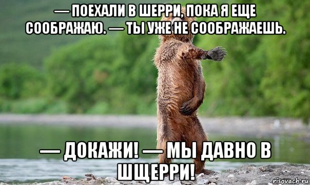 — поехали в шерри, пока я еще соображаю. — ты уже не соображаешь. — докажи! — мы давно в шщерри!