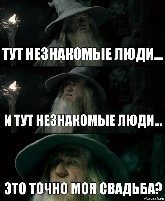 Тут незнакомые люди... И тут незнакомые люди... Это точно моя свадьба?, Комикс Гендальф заблудился