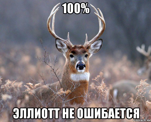 100% эллиотт не ошибается