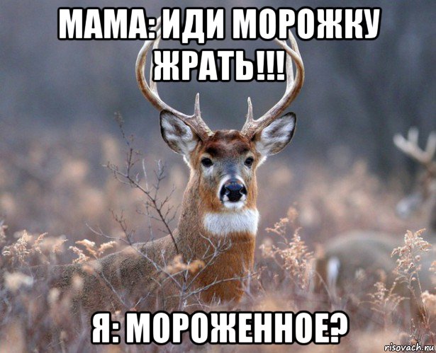 мама: иди морожку жрать!!! я: мороженное?