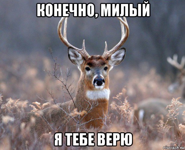 конечно, милый я тебе верю