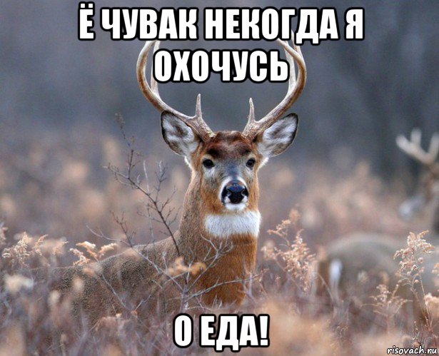 ё чувак некогда я охочусь о еда!