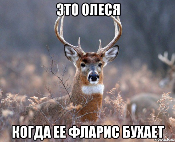 это олеся когда ее фларис бухает