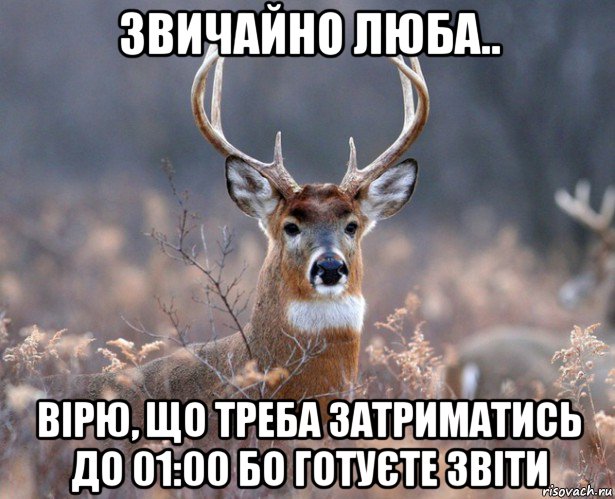 звичайно люба.. вірю, що треба затриматись до 01:00 бо готуєте звіти