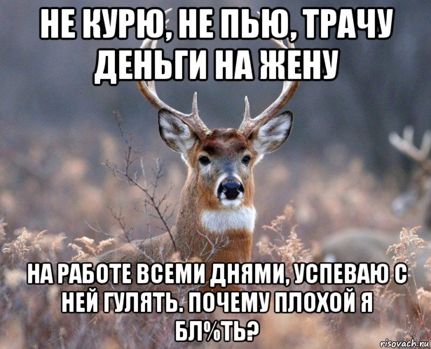 не курю, не пью, трачу деньги на жену на работе всеми днями, успеваю с ней гулять. почему плохой я бл%ть?