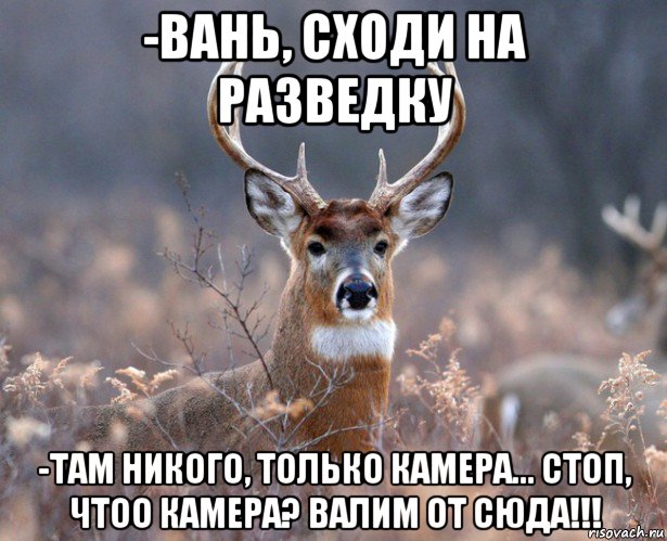 -вань, сходи на разведку -там никого, только камера... стоп, чтоо камера? валим от сюда!!!