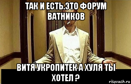 так и есть.это форум ватников витя укропитек а хуля ты хотел ?, Мем Ну чо