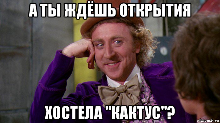 а ты ждёшь открытия хостела "кактус"?, Мем Ну давай расскажи (Вилли Вонка)