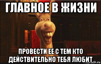 главное в жизни провести ее с тем кто действительно тебя любит, Мем Осел из Шрека