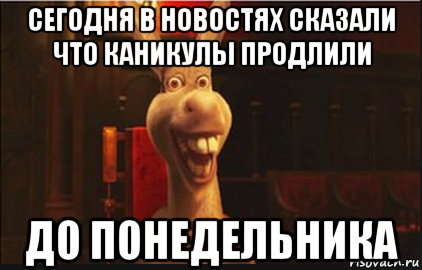 сегодня в новостях сказали что каникулы продлили до понедельника, Мем Осел из Шрека