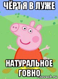 чёрт я в луже натуральное говно, Мем  Peppa