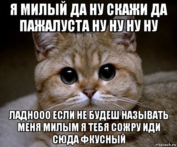 Я не мил тебе