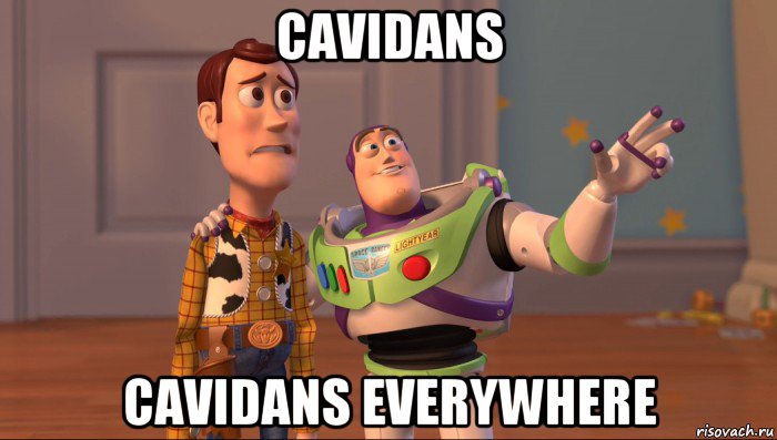 cavidans cavidans everywhere, Мем Они повсюду (История игрушек)