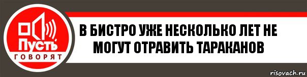 в бистро уже несколько лет не могут отравить тараканов, Комикс   пусть говорят