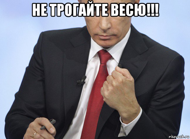 не трогайте весю!!! , Мем Путин показывает кулак