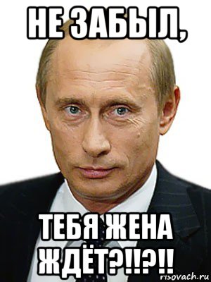 не забыл, тебя жена ждёт?!!?!!, Мем Путин