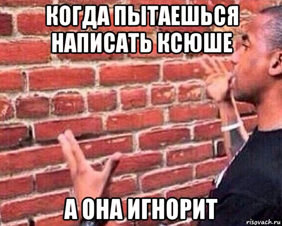 когда пытаешься написать ксюше а она игнорит, Мем разговор со стеной