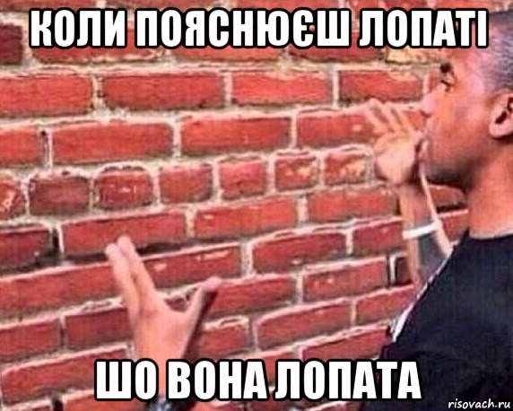 коли пояснюєш лопаті шо вона лопата, Мем разговор со стеной