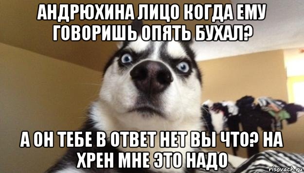 андрюхина лицо когда ему говоришь опять бухал? а он тебе в ответ нет вы что? на хрен мне это надо