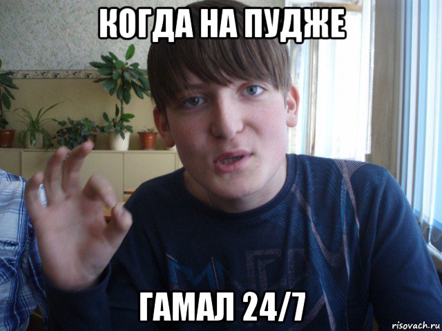 когда на пудже гамал 24/7, Мем stevaner