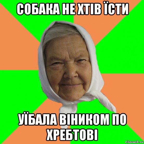 собака не хтів їсти уїбала віником по хребтові, Мем Типичная бабушка