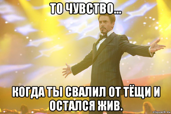 то чувство... когда ты свалил от тёщи и остался жив., Мем Тони Старк (Роберт Дауни младший)