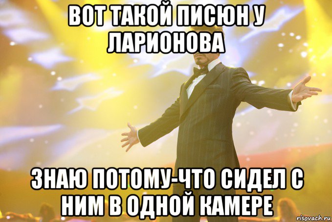 вот такой писюн у ларионова знаю потому-что сидел с ним в одной камере, Мем Тони Старк (Роберт Дауни младший)