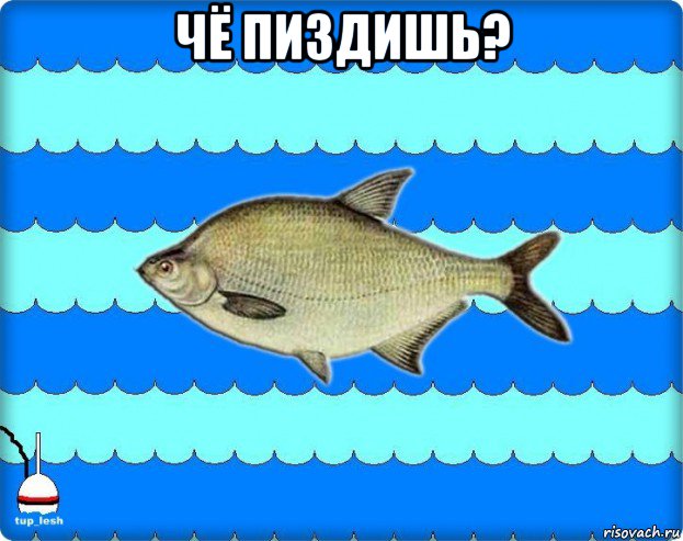 чё пиздишь? , Мем Тупичный лещ