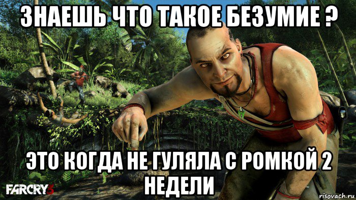 Даже зная что это безумие 27. Ваас Монтенегро безумие. Far Cry 3 Ваас Монтенегро безумие. Вы знаете что такое безумие.