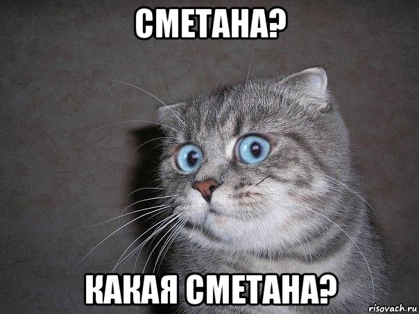 сметана? какая сметана?, Мем  удивлённый кот