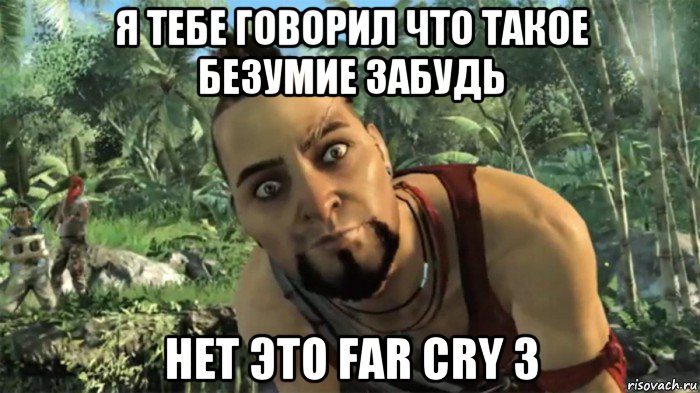 я тебе говорил что такое безумие забудь нет это far cry 3, Мем ваас