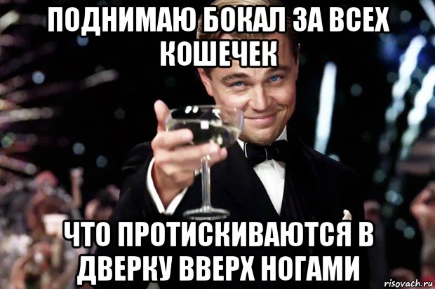 поднимаю бокал за всех кошечек что протискиваются в дверку вверх ногами, Мем Великий Гэтсби (бокал за тех)