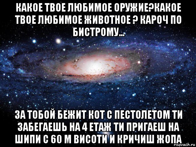 какое твое любимое оружие?какое твое любимое животное ? кароч по бистрому... за тобой бежит кот с пестолетом ти забегаешь на 4 етаж ти пригаеш на шипи с 60 м висоти и кричиш жопа, Мем Вселенная