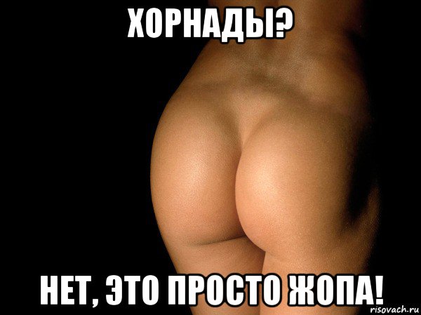 хорнады? нет, это просто жопа!, Мем жопа