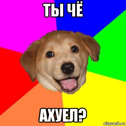 ты чё ахуел?, Мем Advice Dog