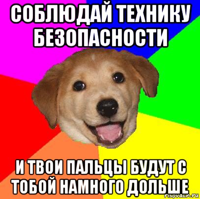 соблюдай технику безопасности и твои пальцы будут с тобой намного дольше, Мем Advice Dog