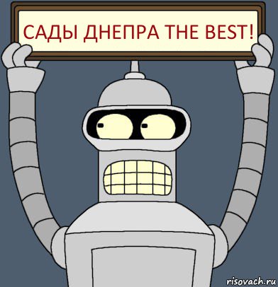 Сады Днепра the Best!, Комикс Бендер с плакатом