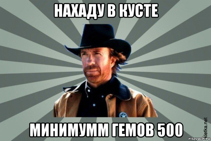 нахаду в кусте минимумм гемов 500