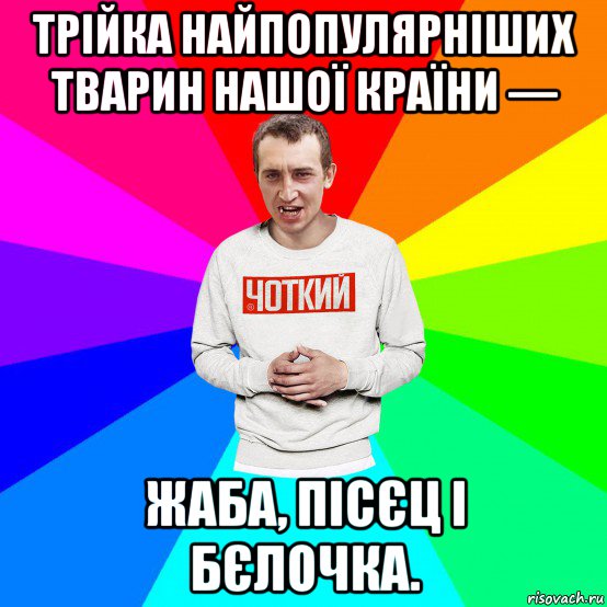 трійка найпопулярніших тварин нашої країни — жаба, пісєц і бєлочка.