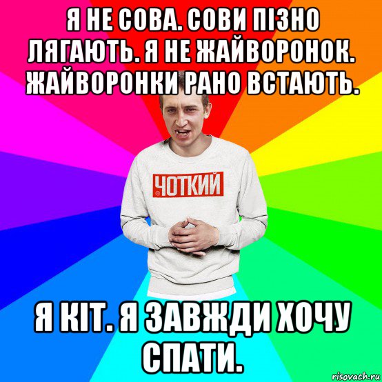 я не сова. сови пізно лягають. я не жайворонок. жайворонки рано встають. я кіт. я завжди хочу спати., Мем Чоткий