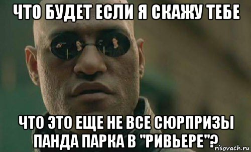 что будет если я скажу тебе что это еще не все сюрпризы панда парка в "ривьере"?