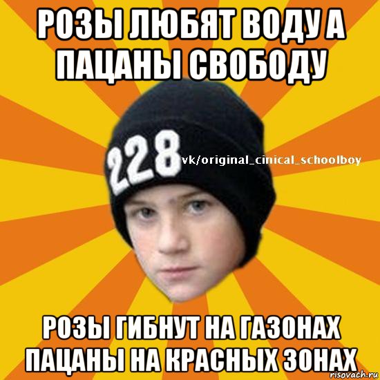 розы любят воду а пацаны свободу розы гибнут на газонах пацаны на красных зонах, Мем  Циничный школьник