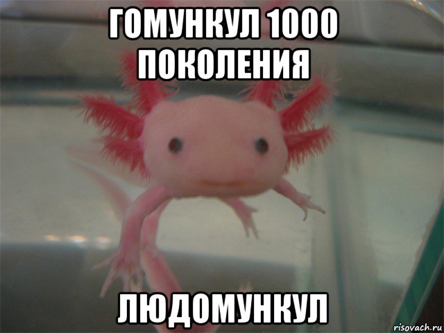 Мама выкинула гомункула. Мемы про гомункула