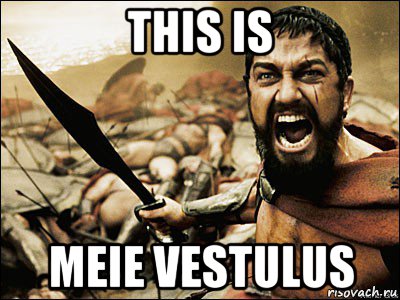 this is meie vestulus, Мем Это Спарта