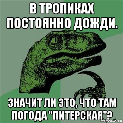 в тропиках постоянно дожди. значит ли это, что там погода "питерская"?, Мем Филосораптор