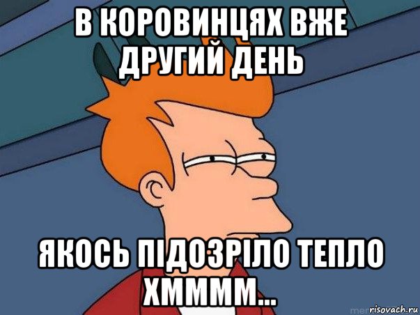 в коровинцях вже другий день якось підозріло тепло хмммм..., Мем  Фрай (мне кажется или)