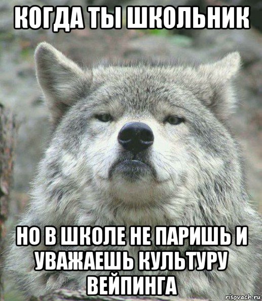 когда ты школьник но в школе не паришь и уважаешь культуру вейпинга, Мем    Гордый волк