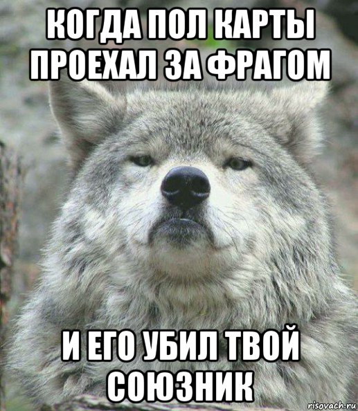 когда пол карты проехал за фрагом и его убил твой союзник, Мем    Гордый волк